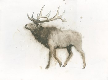 Elk by James Wiens art print