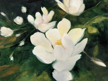 Magnolia Blooms by Julia Purinton art print