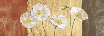 Poppies on Smooth Background by Jenny Thomlinson art print