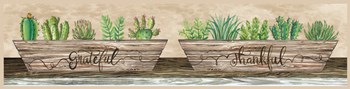 Grateful &amp; Thankful Succulents by Cindy Jacobs art print
