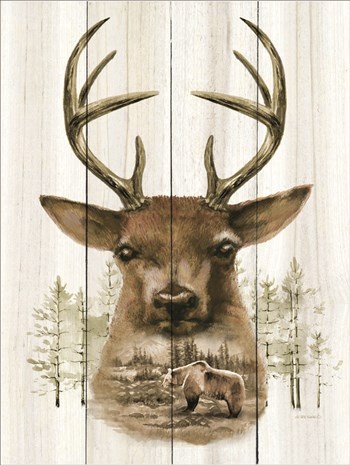 Deer Wilderness Portrait by Ed Wargo art print