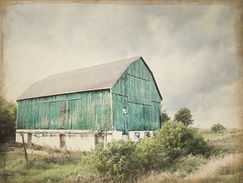 Late Summer Barn I Crop Vintage by Elizabeth Urquhart art print