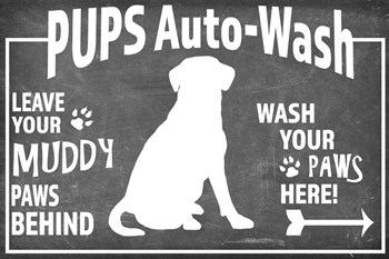 Mudroom 12 by LightBoxJournal art print