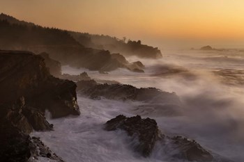 Oregon Shore Acres SP Dusk by Mike Jones Photo art print