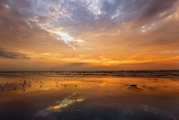 Port Aransas Campground Sunrise by Mike Jones Photo art print