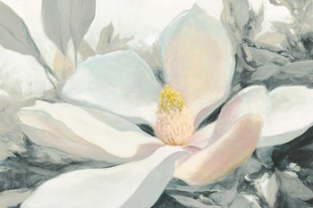 Majestic Magnolia Green Gray Crop by Julia Purinton art print