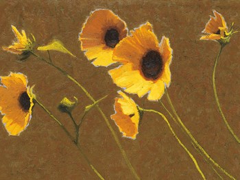 Sunny Flowers I by Shirley Novak art print