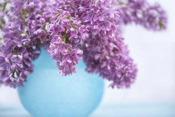 Lilacs in Blue Vase III by Cora Niele art print