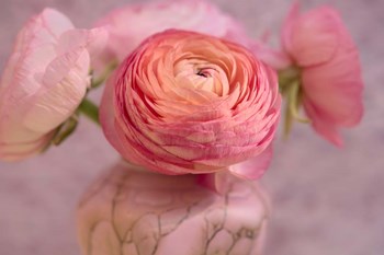 Small Flower by Cora Niele art print