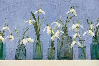 Snoflakes in Little Bottles by Cora Niele art print