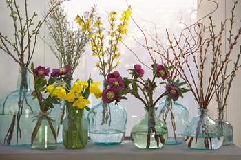 Spring Flowers in Glass Bottles IV by Cora Niele art print