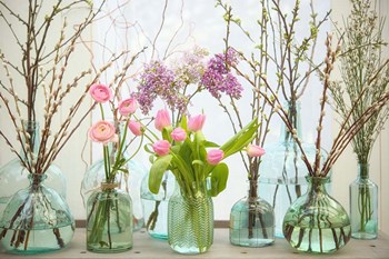 Spring Flowers in Glass Bottles VI by Cora Niele art print