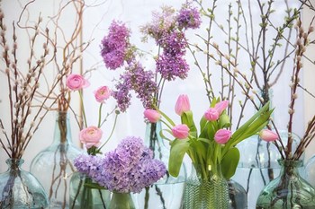 Spring Flowers in Glass Bottles VIII by Cora Niele art print