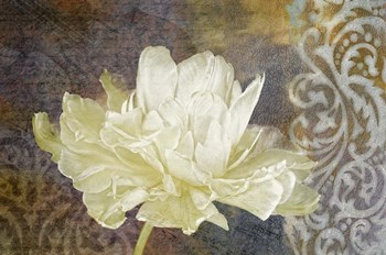 Classic Double White Tulip I by Cora Niele art print