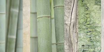 Green Bamboo Collage by Cora Niele art print