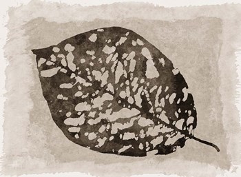 Sepia Leaf by Cora Niele art print