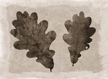 Sepia Oak Leaves by Cora Niele art print