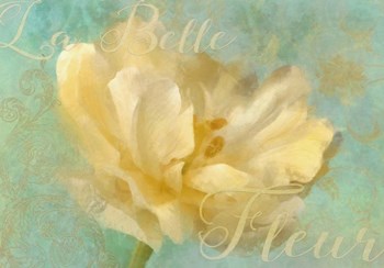 La Belle Fleur I by Cora Niele art print