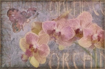 Orchid II by Cora Niele art print