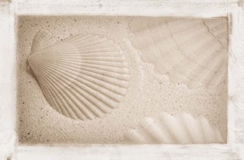 White Shells and Sand by Cora Niele art print
