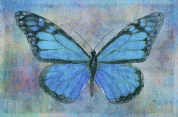 Blue Butterfly Watercolor by Cora Niele art print