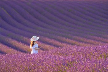 Girl in Lavender Field by Cora Niele art print