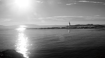 Lighthouse Sound Black and White by Sue Schlabach art print
