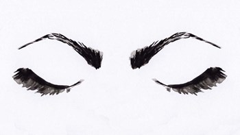 Eyelashes by Anne Seay art print