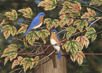 Autumn Blues by Dempsey Essick art print