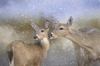 A Mothers Love by Jai Johnson art print