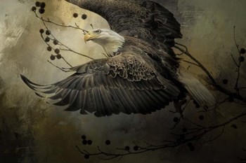 Eagle Rising by Jai Johnson art print