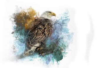 Expressions Bald Eagle by Jai Johnson art print