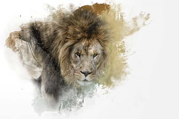 Expressions Lion by Jai Johnson art print