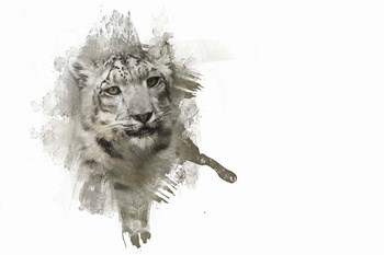Expressions Snow Leopard by Jai Johnson art print