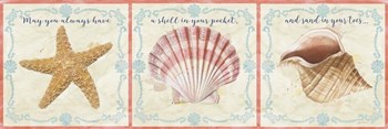 Sea Shells  -  E by Jean Plout art print