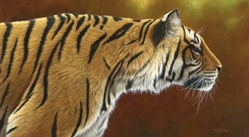 Tense Tiger by Dr. Jeremy Paul art print