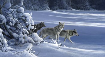 The Strength Of The Wolf Is The Pack by Dr. Jeremy Paul art print