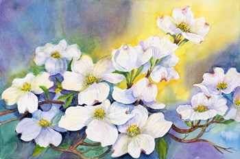 Branch of Dogwood by Joanne Porter art print