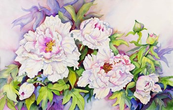 Peonies with Pink Centers by Joanne Porter art print