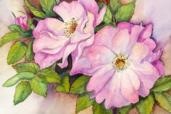 Wild Roses by Joanne Porter art print