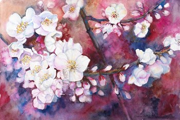 Cherry Blossoms by Joanne Porter art print