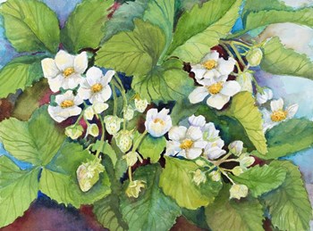 Strawberry Patch - B. Flowering by Joanne Porter art print