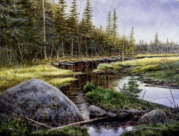 Adarondack Gold by John Morrow art print