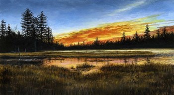 Blazing Quietude by John Morrow art print