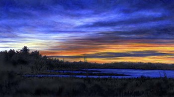 Blue Ribbon by John Morrow art print