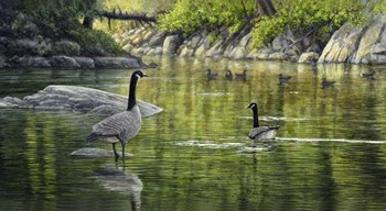 Border Patrol by John Morrow art print