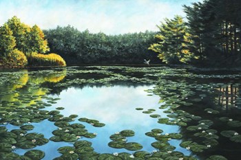 Early Morning Rise by John Morrow art print