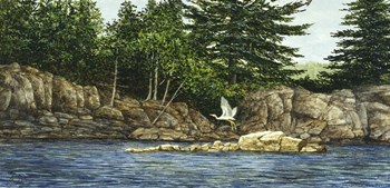 River Flight by John Morrow art print