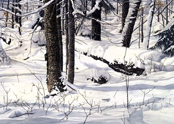 Symphony of Light by John Morrow art print