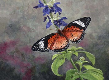 Tropical Queen by John Morrow art print